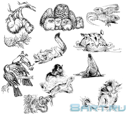 ��������