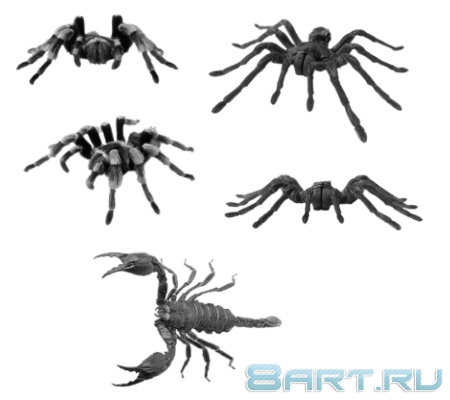 ����� �����