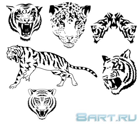 ����� �����