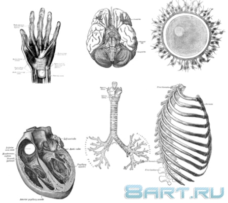 ������������� �����