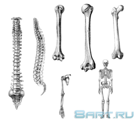 ����� ������������ �����