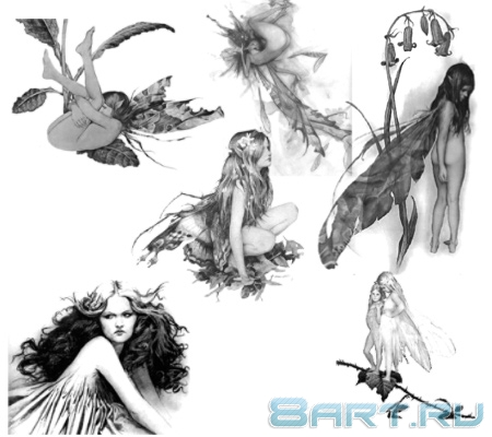 ����� ���