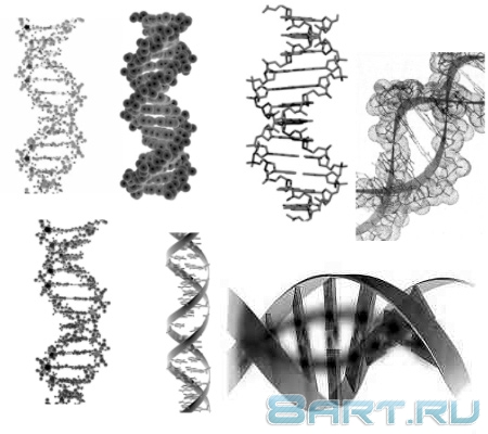 ����� ���