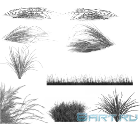 ����� �����