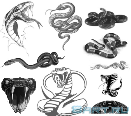 ����� ����