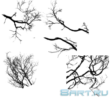 ����� �����