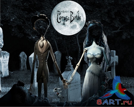 ׸���� ����