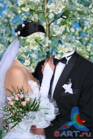 ��������� ����