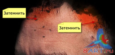 Создаём креативное фото в фотошопе Создаём креативное фото в фотошопе