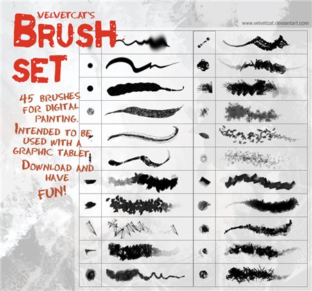 Velvetcat Brush Set