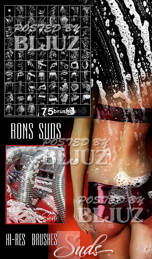 Rons Suds