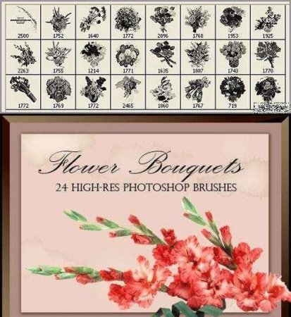 ����� ��� Photoshop - 24 ��������� ������