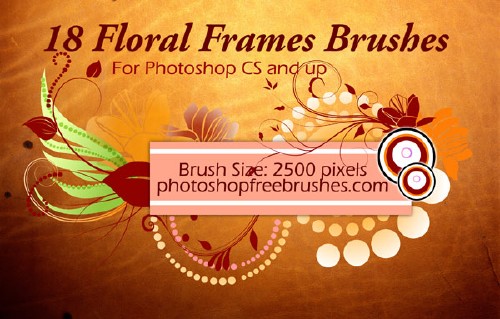 Floral Frame Photoshop Brushes