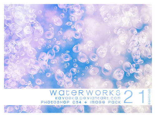 Waterworks Brushes