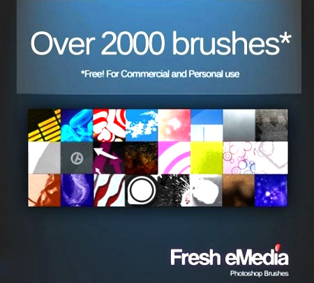 Fresh eMedia Monster Brush Set
