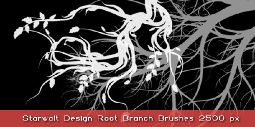 Starwalt Root Branches