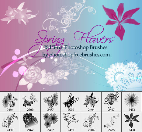 Spring Flowers