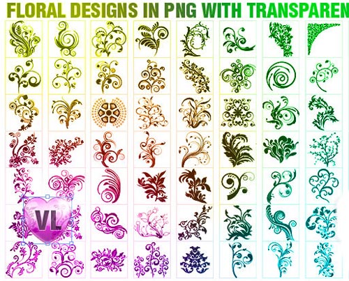 Floral Designs in PNG with Transparent background