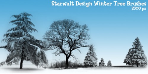 Winter Tree Brushes