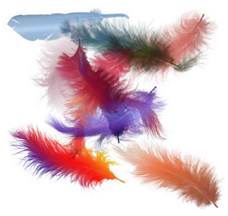 ����� ��� �������� �����