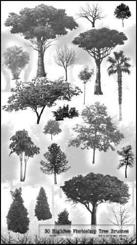30 PS HighRes Tree Brushes