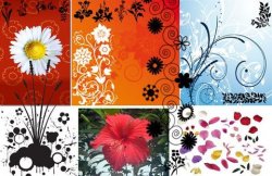Floral GFX Collection. Кисти для Photoshop Floral GFX Collection. Кисти для Photoshop