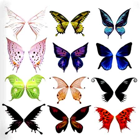 ����� ��� PS "Butterfly Wings"