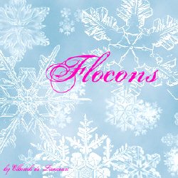 Flocons. ����� ��� Photoshop