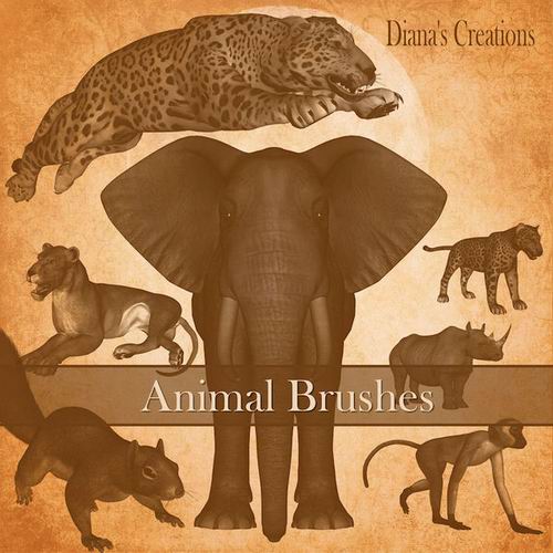 Animal Brushes