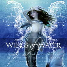Rons brush wings of water