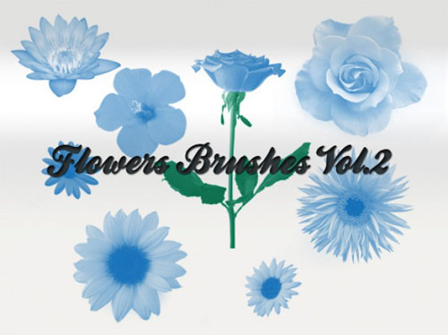 Flowers Brushes for Photoshop Vol 2