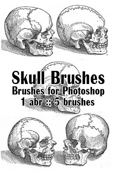Skull Brushes. ����� ��� Photoshop