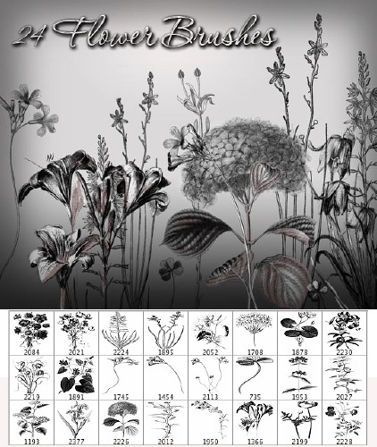 24 Flower Brushes