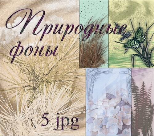 ��������� ����