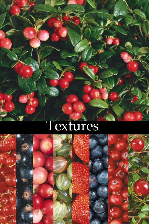 ������� ��������