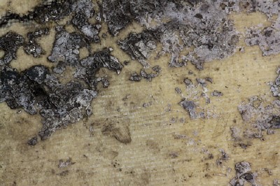 ������������ ������� � ������� - �������� �4 (������ ����������)