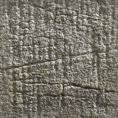 �������� �������� ����