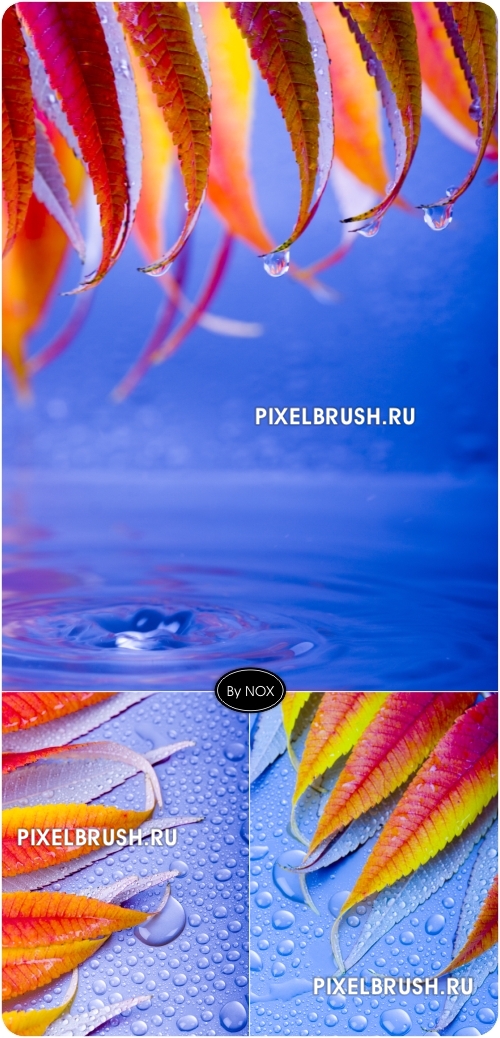 10 Autumn Backgrounds - �����, ���, ����, ������