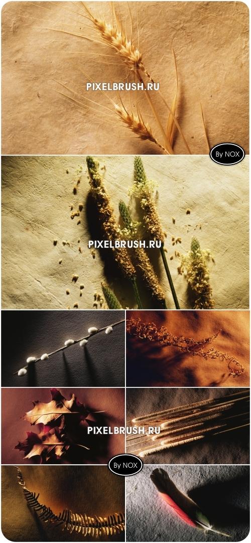 24 Nature Backgrounds - �����, ������