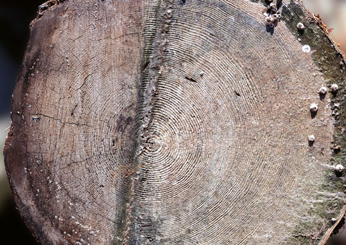 ������������ ������� � ������� - �������� � 6 (������)