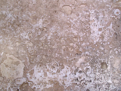 Psicosonic Textures - Construction Basic (CD1)