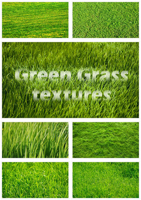Green grass textures - �������� ������� �����