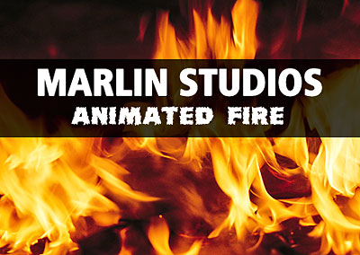 ������������� �������� ����