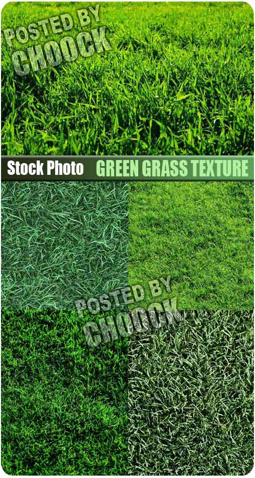 Stock Photo: Green grass texture 