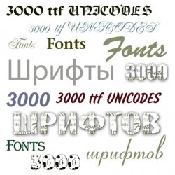 3000 �������