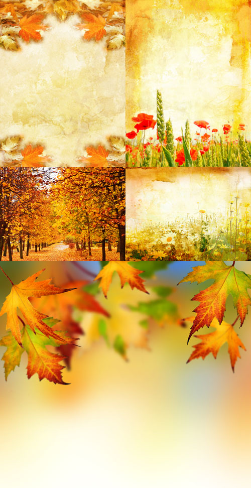 Texture backgrounds autumn leaves # 3