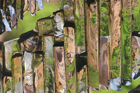 ����� ��������� ������