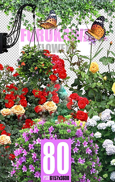 ����� � ���������� �� ���������� ����