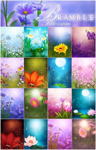 Bramble Blossom Backgrounds