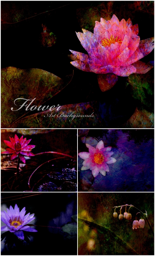 Flower Art Backgrounds - ��������, �����, ���